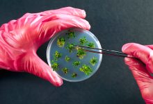 Photo of Биотехнологии: какие открытия нас ждут?