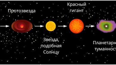 Photo of Звездные системы и их эволюция
