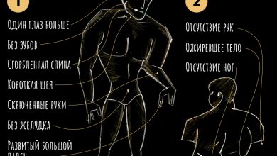 Photo of Человек будущего: эволюция или революция?