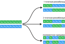 Photo of Генетические алгоритмы и их применение