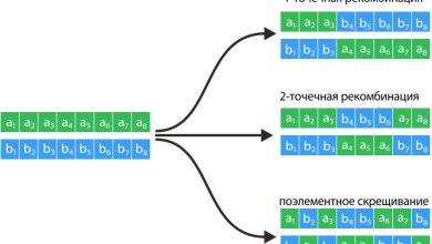 Photo of Генетические алгоритмы и их применение