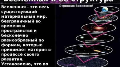 Photo of Структура и форма Вселенной