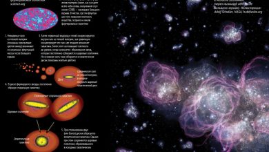 Photo of Формирование галактик и звезд